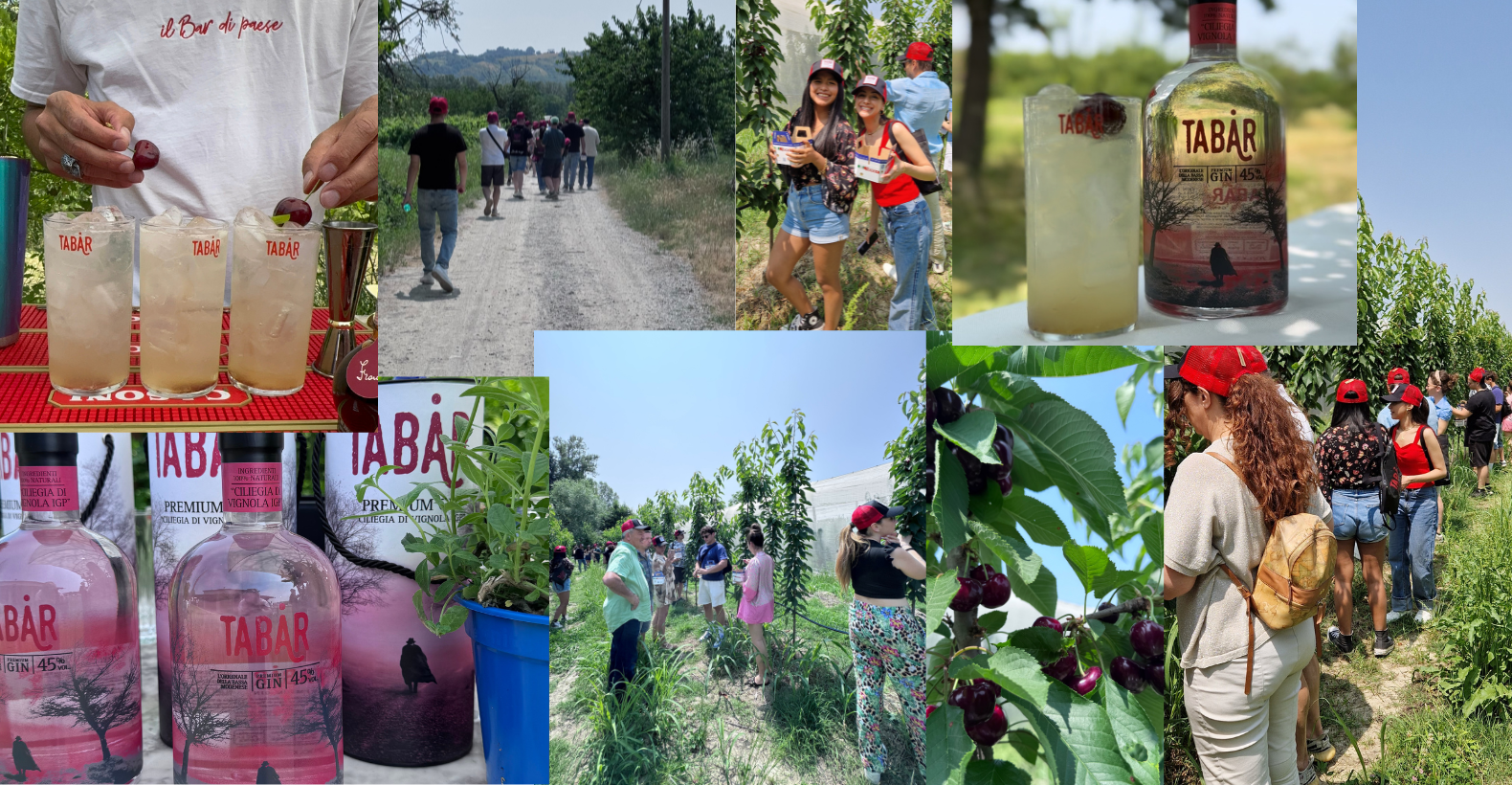 Gin Tabar Ciliegia di Vignola IGP: una experience dedicata inaugura la nuova stagione delle Ciliegie