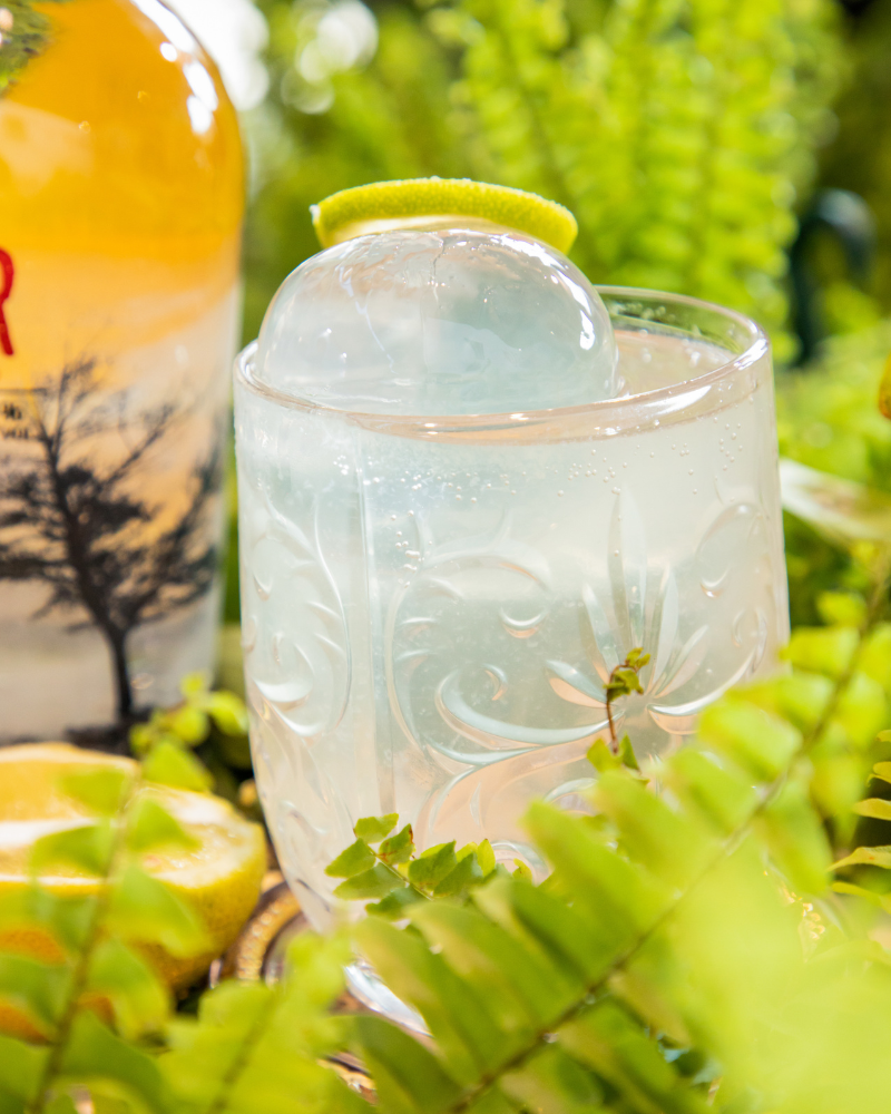Tabar Mule